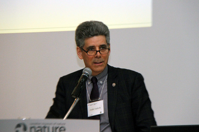 Andr&eacute; Isabelle